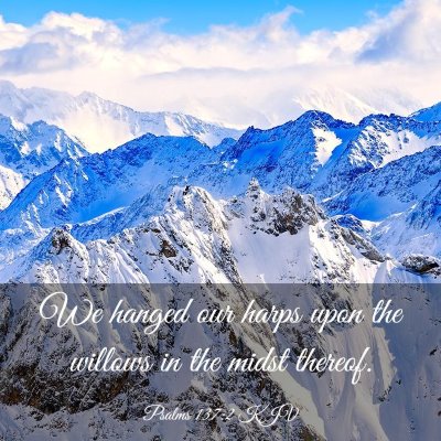 Picture 03 - Psalms 137:2 KJV - We hanged our harps upon the willows in the midst - Bible Verse Picture