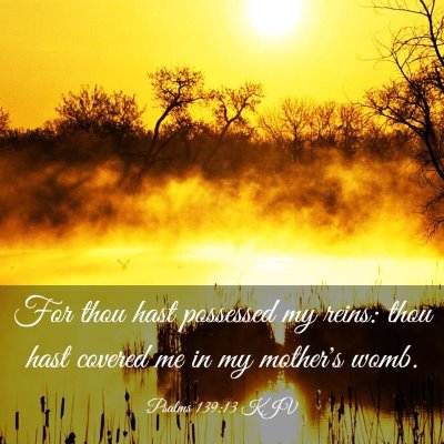 Picture 03 - Psalms 139:13 KJV - For thou hast possessed my reins: thou hast - Bible Verse Picture