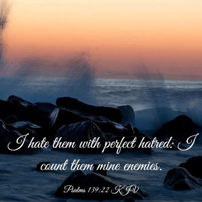 Picture 03 - Psalms 139:22 KJV - I hate them with perfect hatred: I count them - Bible Verse Picture