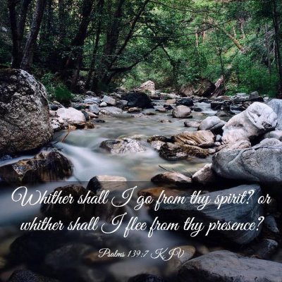 Picture 03 - Psalms 139:7 KJV - Whither shall I go from thy spirit? or whither - Bible Verse Picture