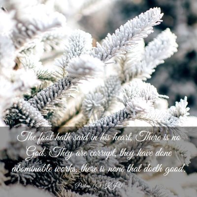 Picture 03 - Psalms 14:1 KJV - The fool hath said in his heart, There is no God. - Bible Verse Picture