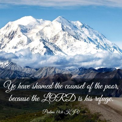 Picture 03 - Psalms 14:6 KJV - Ye have shamed the counsel of the poor, because - Bible Verse Picture