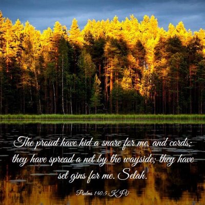 Picture 03 - Psalms 140:5 KJV - The proud have hid a snare for me, and cords; - Bible Verse Picture