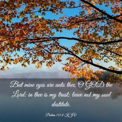 Picture 03 - Psalms 141:8 KJV - But mine eyes are unto thee, O GOD the Lord: in - Bible Verse Picture
