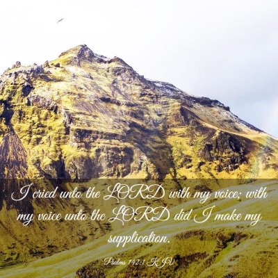 Picture 03 - Psalms 142:1 KJV - I cried unto the LORD with my voice; with my - Bible Verse Picture