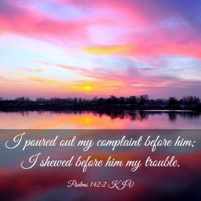 Picture 03 - Psalms 142:2 KJV - I poured out my complaint before him; I shewed - Bible Verse Picture