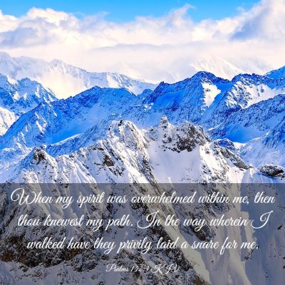 Picture 03 - Psalms 142:3 KJV - When my spirit was overwhelmed within me, then - Bible Verse Picture