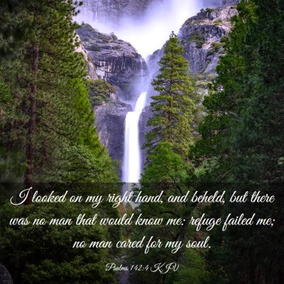 Picture 03 - Psalms 142:4 KJV - I looked on my right hand, and beheld, but there - Bible Verse Picture