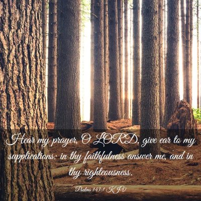 Picture 03 - Psalms 143:1 KJV - Hear my prayer, O LORD, give ear to my - Bible Verse Picture
