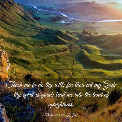 Picture 03 - Psalms 143:10 KJV - Teach me to do thy will; for thou art my God: thy - Bible Verse Picture