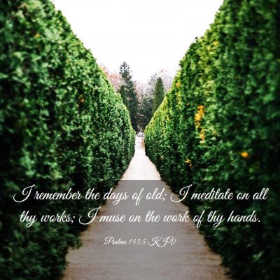 Picture 03 - Psalms 143:5 KJV - I remember the days of old; I meditate on all thy - Bible Verse Picture