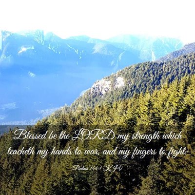Picture 03 - Psalms 144:1 KJV - Blessed be the LORD my strength which teacheth my - Bible Verse Picture
