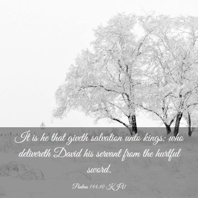 Picture 03 - Psalms 144:10 KJV - It is he that giveth salvation unto kings: who - Bible Verse Picture