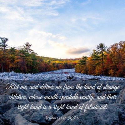 Picture 03 - Psalms 144:11 KJV - Rid me, and deliver me from the hand of strange - Bible Verse Picture