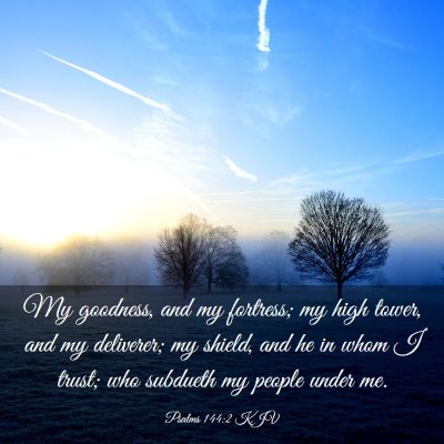 Picture 03 - Psalms 144:2 KJV - My goodness, and my fortress; my high tower, and - Bible Verse Picture