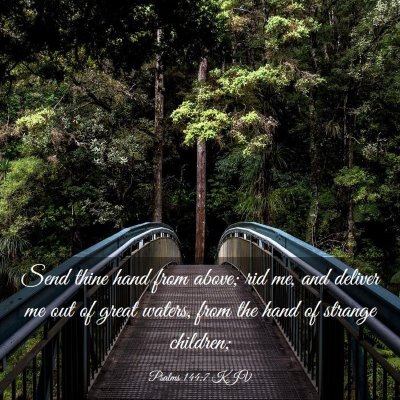Picture 03 - Psalms 144:7 KJV - Send thine hand from above; rid me, and deliver - Bible Verse Picture