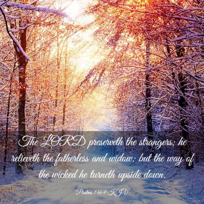 Picture 03 - Psalms 146:9 KJV - The LORD preserveth the strangers; he relieveth - Bible Verse Picture