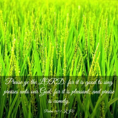 Picture 03 - Psalms 147:1 KJV - Praise ye the LORD: for it is good to sing - Bible Verse Picture