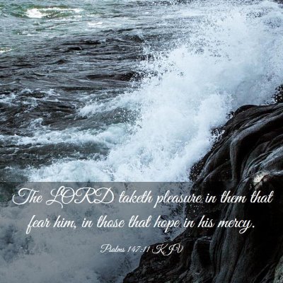 Picture 03 - Psalms 147:11 KJV - The LORD taketh pleasure in them that fear him, - Bible Verse Picture