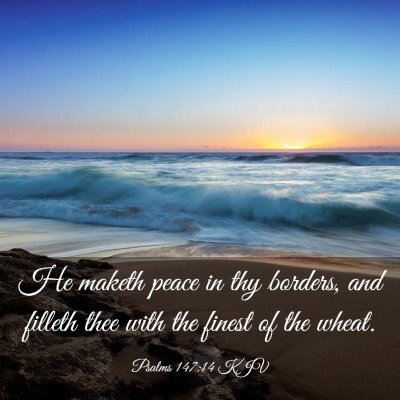 Picture 03 - Psalms 147:14 KJV - He maketh peace in thy borders, and filleth thee - Bible Verse Picture