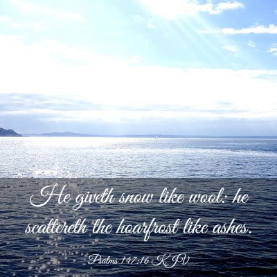 Picture 03 - Psalms 147:16 KJV - He giveth snow like wool: he scattereth the - Bible Verse Picture