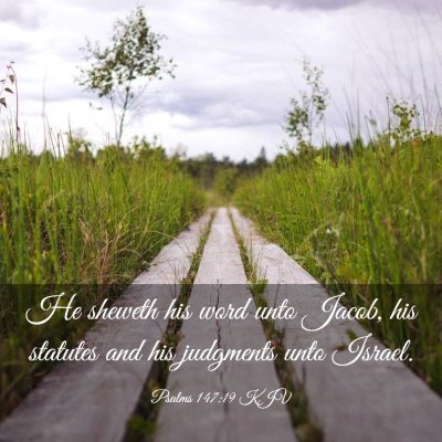 Picture 03 - Psalms 147:19 KJV - He sheweth his word unto Jacob, his statutes and - Bible Verse Picture