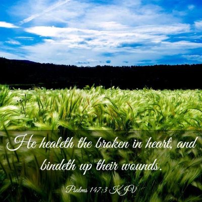Picture 03 - Psalms 147:3 KJV - He healeth the broken in heart, and bindeth up - Bible Verse Picture