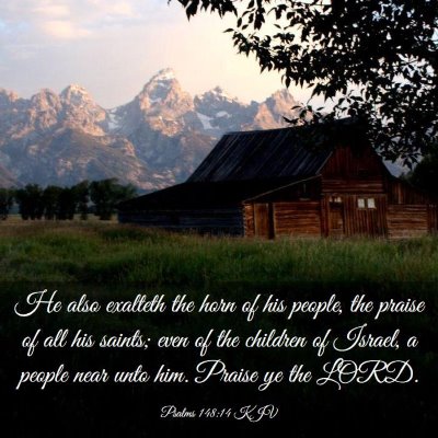 Picture 03 - Psalms 148:14 KJV - He also exalteth the horn of his people, the - Bible Verse Picture