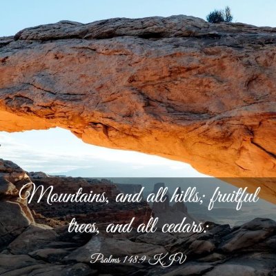 Picture 03 - Psalms 148:9 KJV - Mountains, and all hills; fruitful trees, and all - Bible Verse Picture
