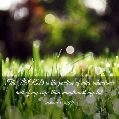 Picture 03 - Psalms 16:5 KJV - The LORD is the portion of mine inheritance and - Bible Verse Picture