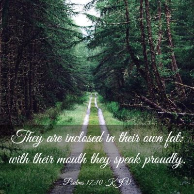 Picture 03 - Psalms 17:10 KJV - They are inclosed in their own fat: with their - Bible Verse Picture