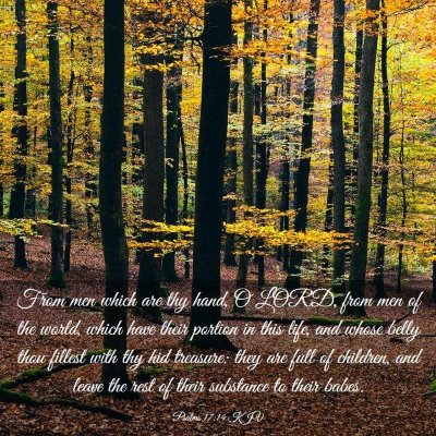 Picture 03 - Psalms 17:14 KJV - From men which are thy hand, O LORD, from men of - Bible Verse Picture