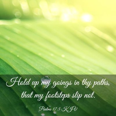 Picture 03 - Psalms 17:5 KJV - Hold up my goings in thy paths, that my footsteps - Bible Verse Picture
