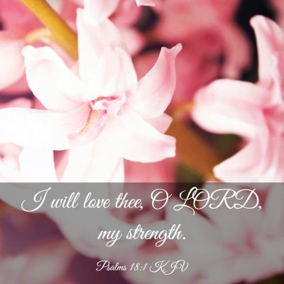 Picture 03 - Psalms 18:1 KJV - I will love thee, O LORD, my - Bible Verse Picture