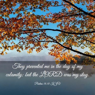 Picture 03 - Psalms 18:18 KJV - They prevented me in the day of my calamity: but - Bible Verse Picture