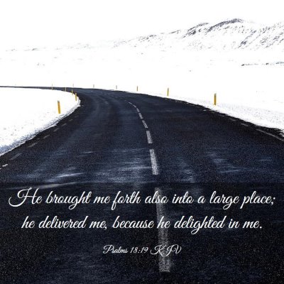 Picture 03 - Psalms 18:19 KJV - He brought me forth also into a large place; he - Bible Verse Picture