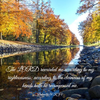 Picture 03 - Psalms 18:20 KJV - The LORD rewarded me according to my - Bible Verse Picture