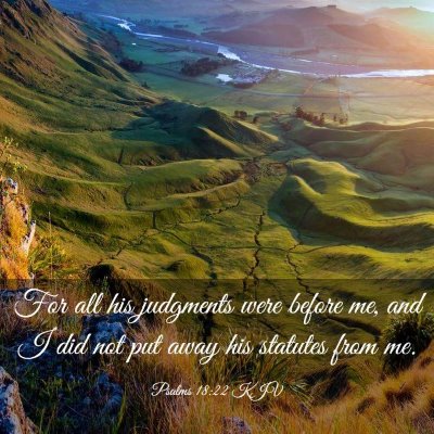 Picture 03 - Psalms 18:22 KJV - For all his judgments were before me, and I did - Bible Verse Picture