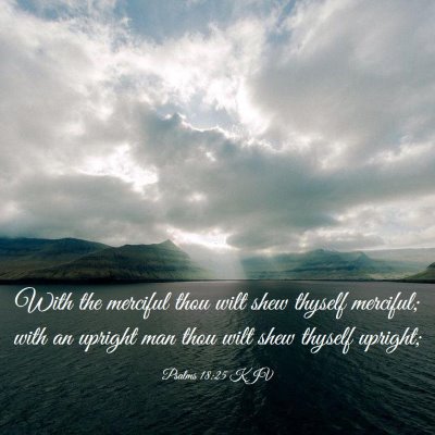 Picture 03 - Psalms 18:25 KJV - With the merciful thou wilt shew thyself - Bible Verse Picture