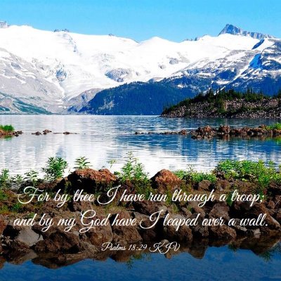 Picture 03 - Psalms 18:29 KJV - For by thee I have run through a troop; and by my - Bible Verse Picture