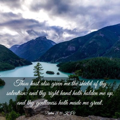 Picture 03 - Psalms 18:35 KJV - Thou hast also given me the shield of thy - Bible Verse Picture
