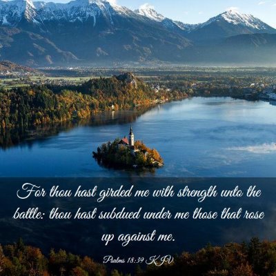 Picture 03 - Psalms 18:39 KJV - For thou hast girded me with strength unto the - Bible Verse Picture