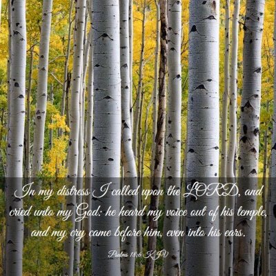 Picture 03 - Psalms 18:6 KJV - In my distress I called upon the LORD, and cried - Bible Verse Picture