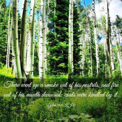 Picture 03 - Psalms 18:8 KJV - There went up a smoke out of his nostrils, and - Bible Verse Picture