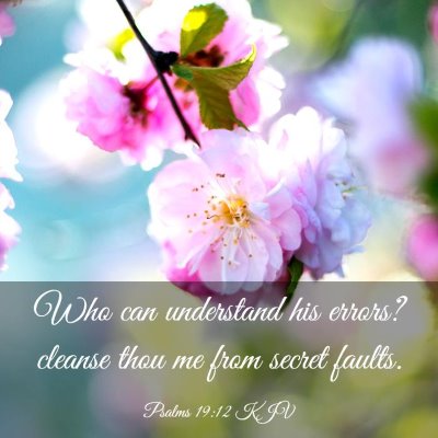 Picture 03 - Psalms 19:12 KJV - Who can understand his errors? cleanse thou me - Bible Verse Picture