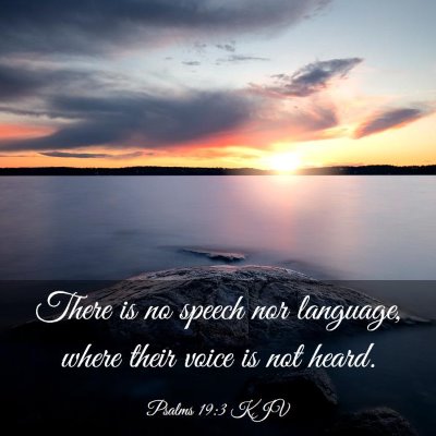 Picture 03 - Psalms 19:3 KJV - There is no speech nor language, where their - Bible Verse Picture