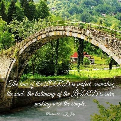 Picture 03 - Psalms 19:7 KJV - The law of the LORD is perfect, converting the - Bible Verse Picture