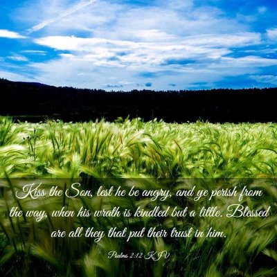 Picture 03 - Psalms 2:12 KJV - Kiss the Son, lest he be angry, and ye perish - Bible Verse Picture