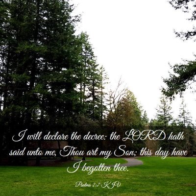 Picture 03 - Psalms 2:7 KJV - I will declare the decree: the LORD hath said - Bible Verse Picture