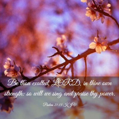 Picture 03 - Psalms 21:13 KJV - Be thou exalted, LORD, in thine own strength: so - Bible Verse Picture
